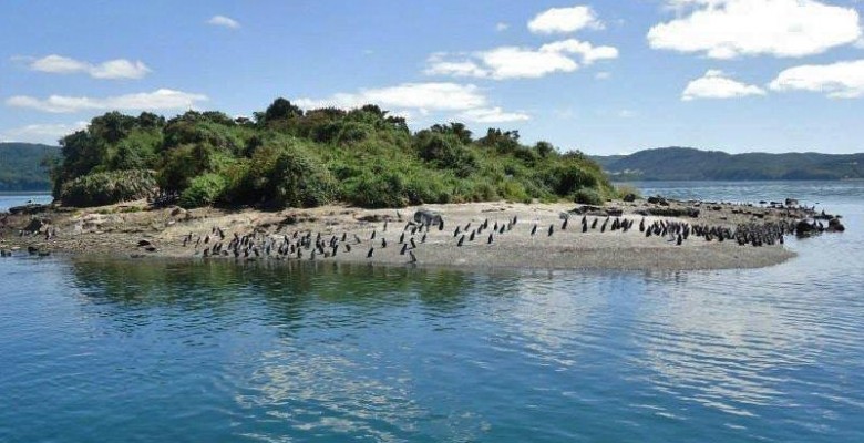 Presentan más de 10 mil firmas para solicitar protección del Islote Conejos de Queilen