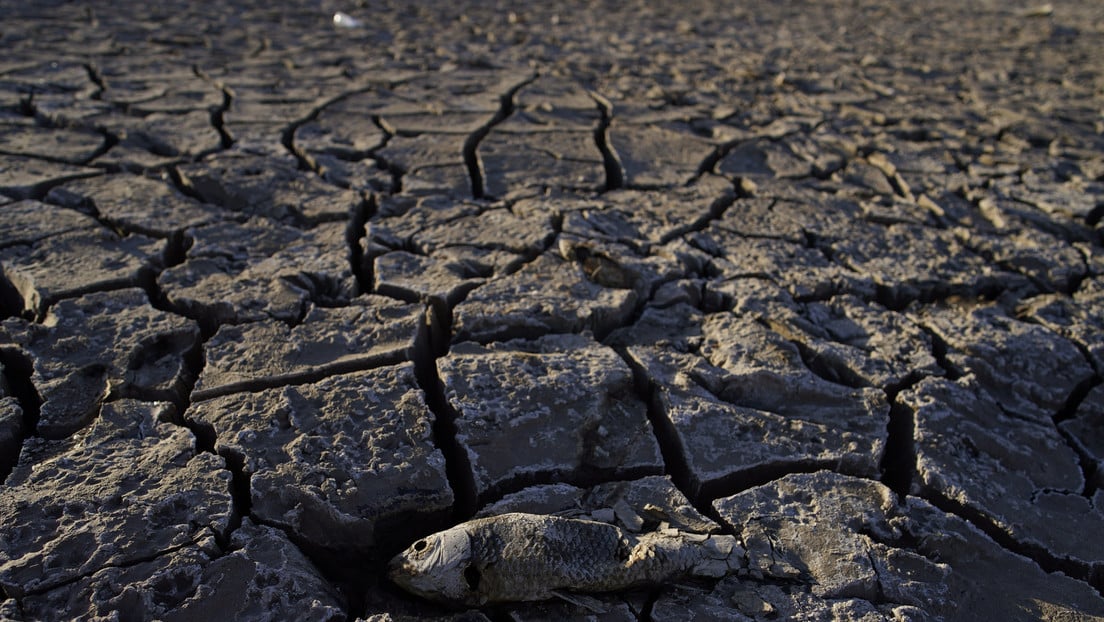 La ONU advierte que el número de sequías ha aumentado un 29 % desde el año 2000: Hay que acelerar la mitigación «urgentemente»