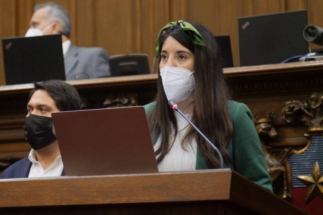 Convencional Janis Meneses sobre derecho educación en borrador nueva Constitución: “Se garantiza la libertad de enseñanza”