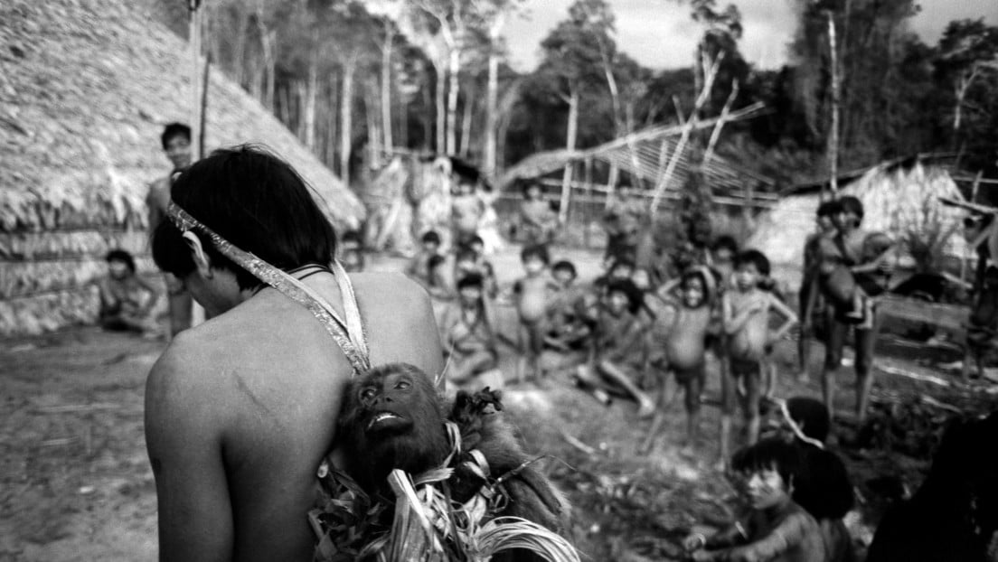 Yanomami s disappeared in Brazil. Where are they?