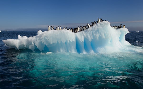 ¡Alerta Chile! Inach advierte que el cambio climático «se está amplificando» en la Antártica