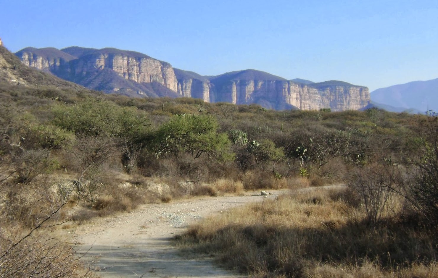 Por violentar derechos, gobierno anula decreto  de Área Natural Protegida en Cerro Colorado