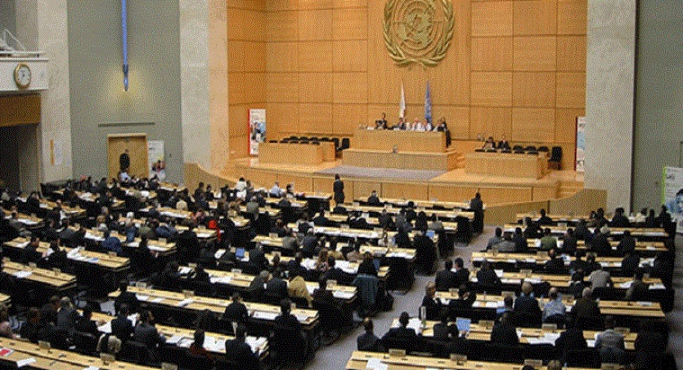 Estado chileno es examinado por Comité Derechos de la Niñez de Naciones Unidas