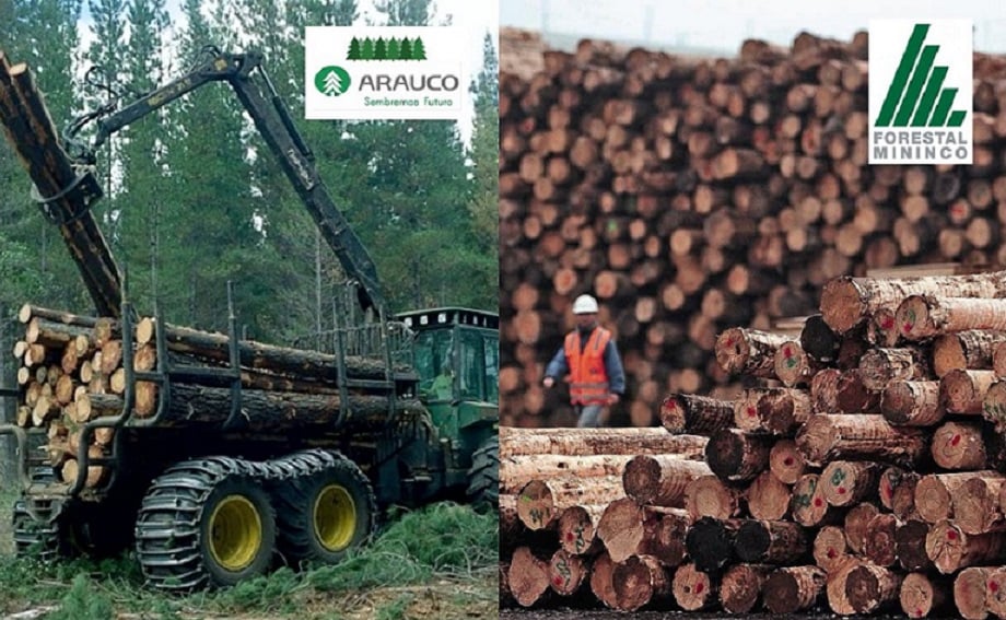 Los dardos que apuntan a las grandes compañías forestales como principal escollo en los conflictos del sur