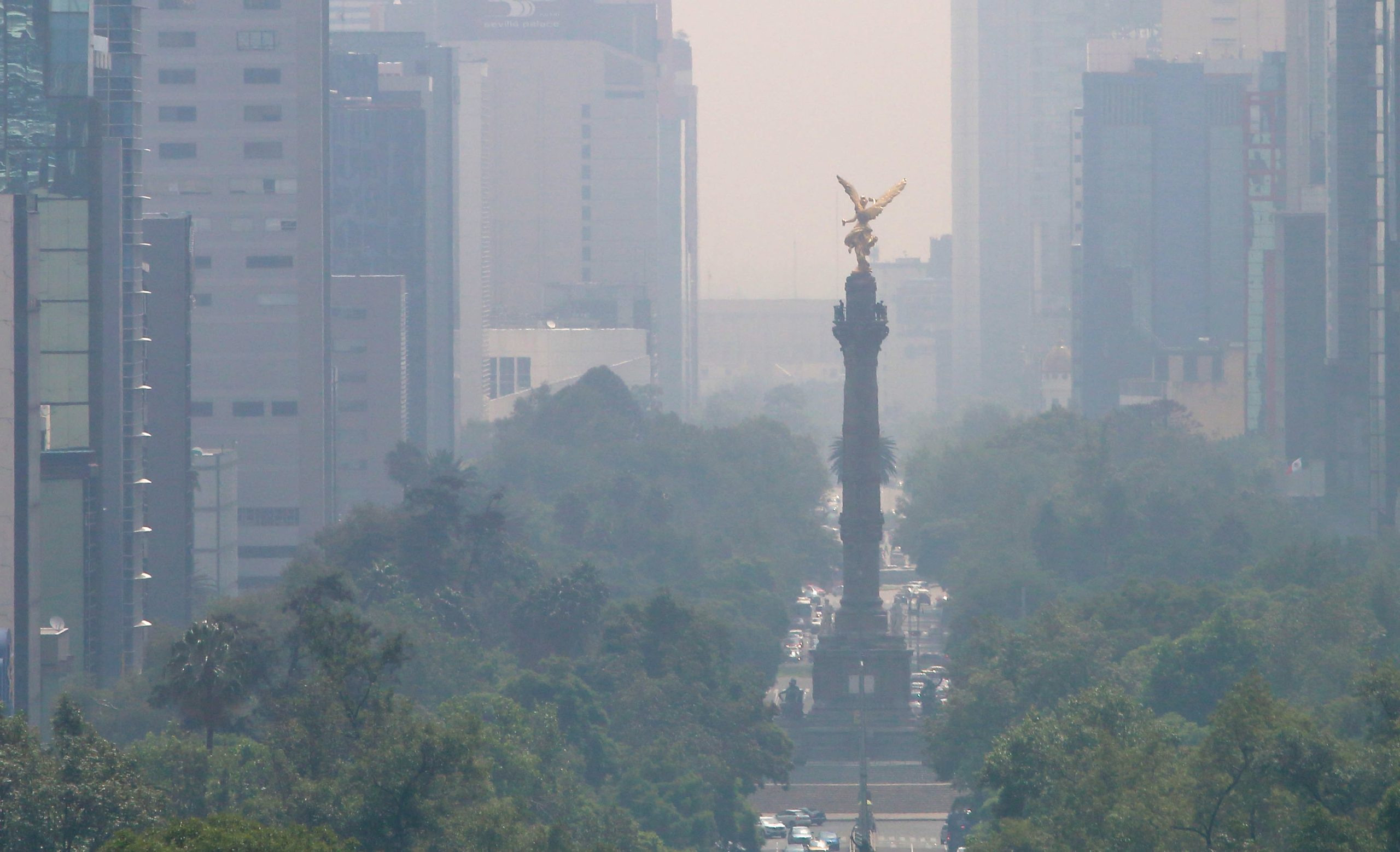 Contaminación