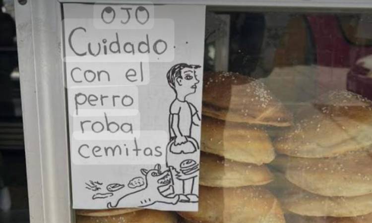 ¡Cuidado con el perro roba cemitas! Can se vuelve viral por robar cemitas en Puebla