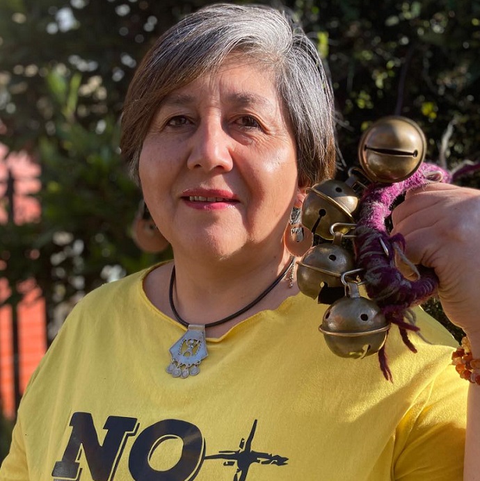 Sandra Marín Cheuquelaf, dirigenta Anef y vocera nacional NO+AFP: “Hacemos un llamado a trabajar por el Apruebo en el plebiscito de salida”