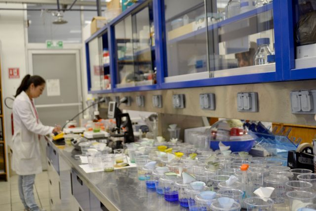 Desigualdad entre investigadores, 35% SNI son mujeres