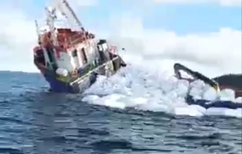 Se querellan por posible contaminación de barco salmonero hundido en costas de Calbuco