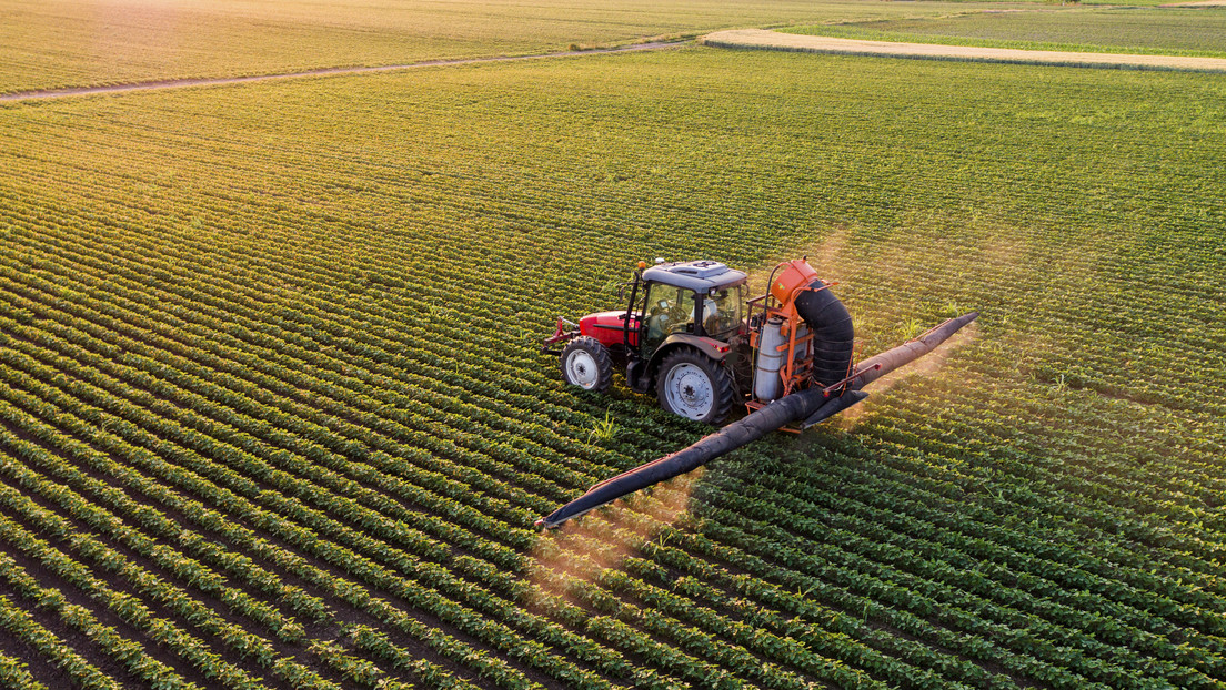 EEUU estaría promoviendo la compra de fertilizantes rusos: Doble rasero