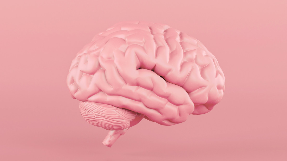 El cerebro se calienta más de lo que pensábamos