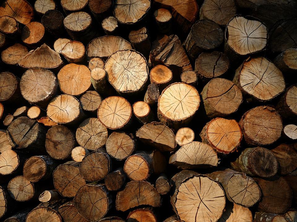 Lituania sufre escasez de madera por las sanciones impuestas a Rusia
