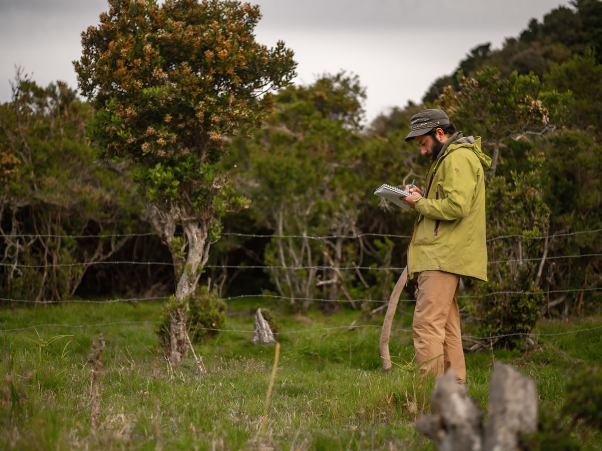 Proyecto busca devolver la vida al suelo de Isla Mocha y resguardar su biodiversidad y ecosistemas