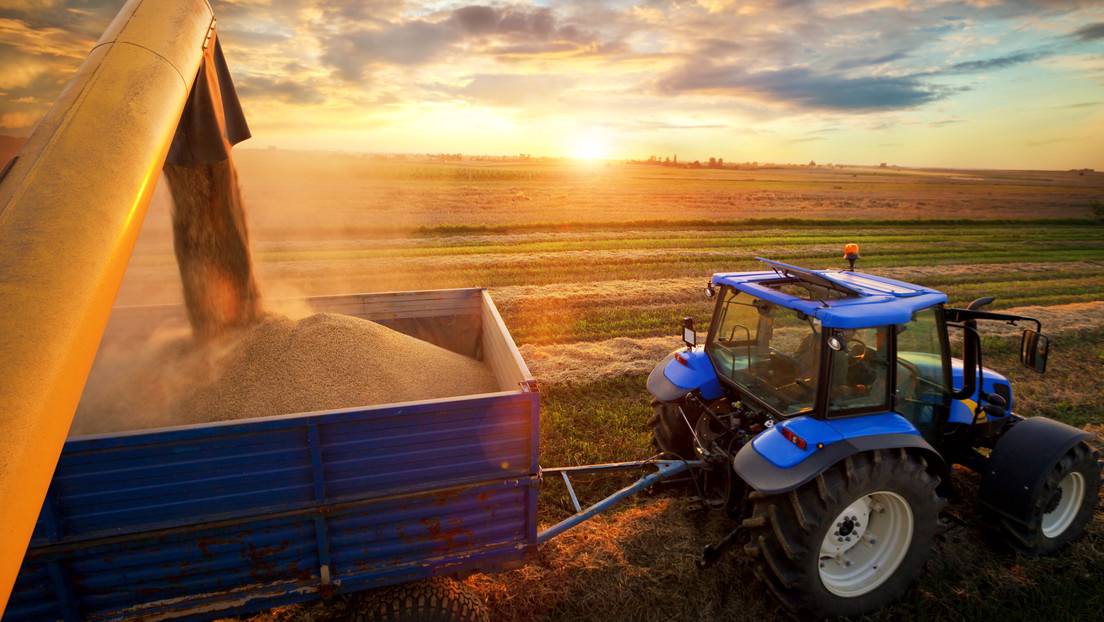 «Evitar hambruna mundial»: Alemania anuncia un plan para exportar granos desde Ucrania