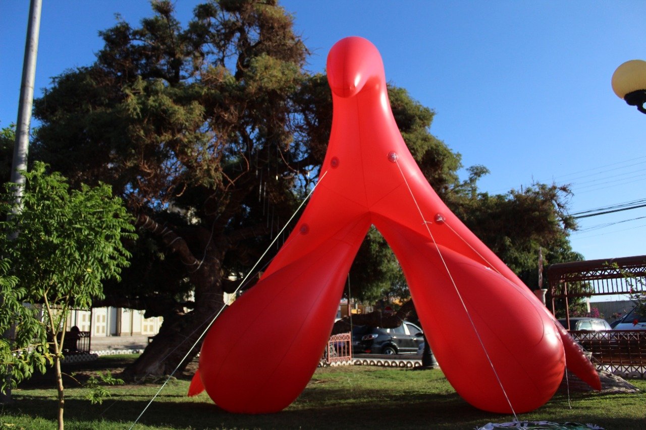 Colectiva “Las Clito” instalan clítoris gigante en Santiago, Valparaíso y Viña del Mar para pronunciarse contra el analfabetismo sexual