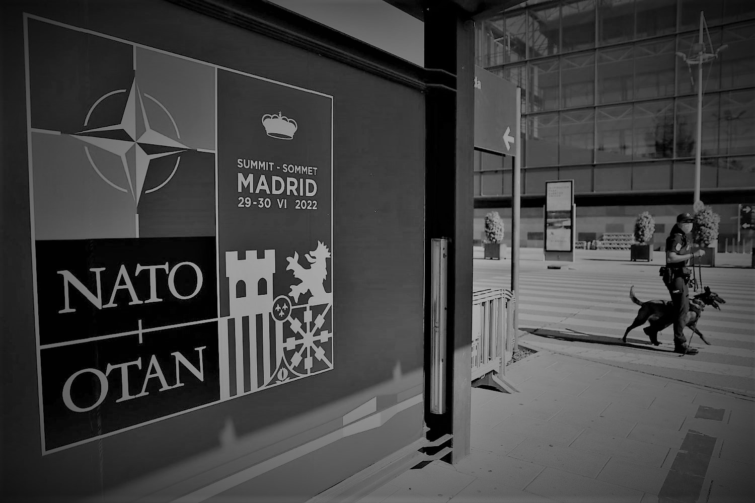 NATO, what you may not know before the summit in Madrid