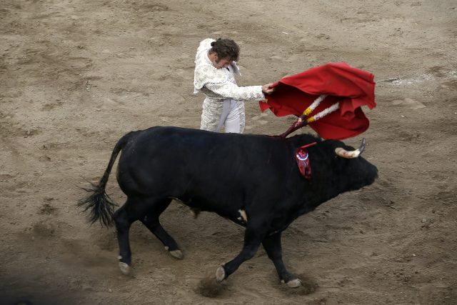 Tauromaquia