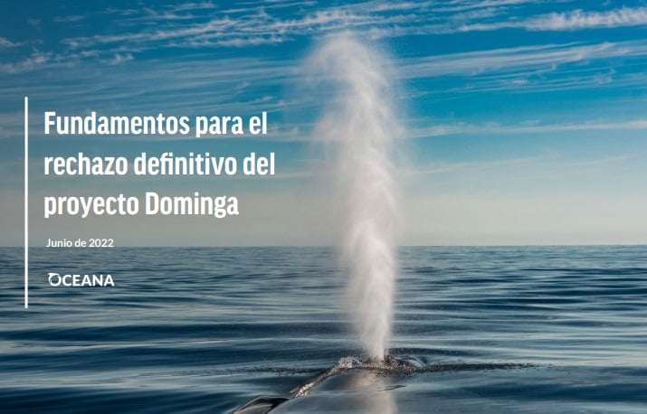 Lanzan informe lapidario que recopila las deficiencias del proyecto Dominga