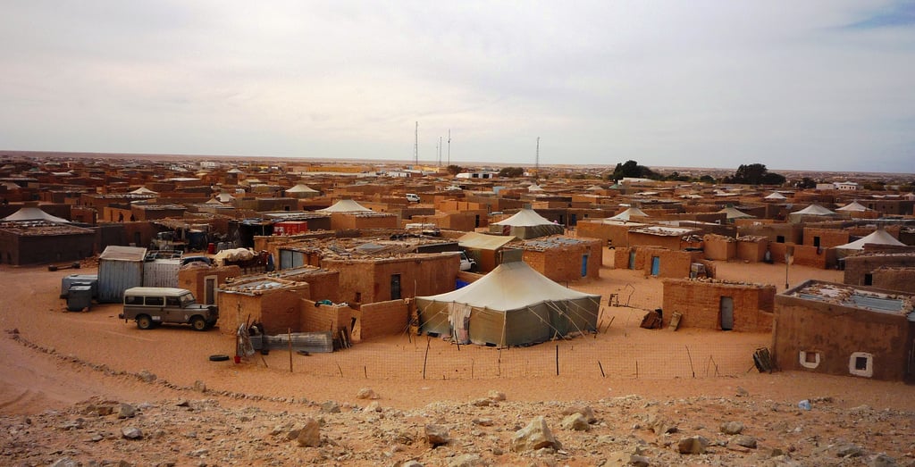 El Frente Polisario del Sáhara Occidental hace un llamado a la Internacional Progresista