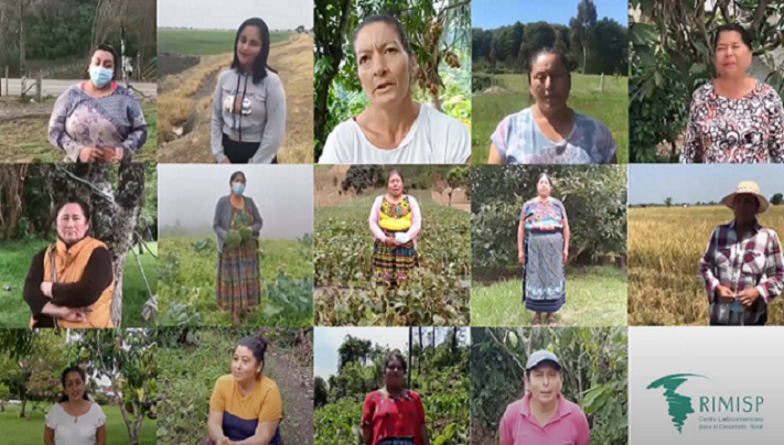Testimonios de mujeres rurales sobre los efectos de la pandemia