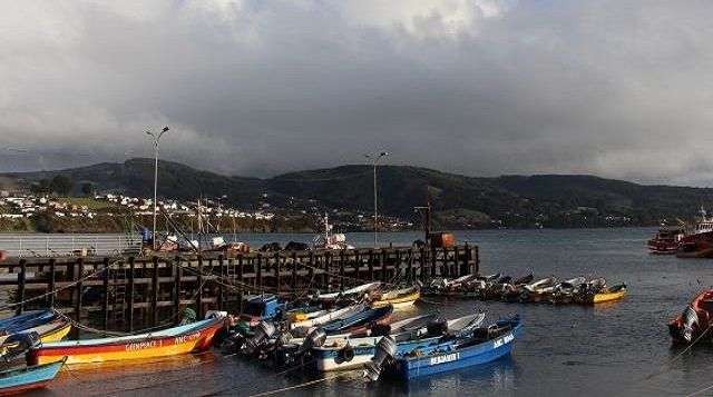 Dos caletas de Chiloé serán administradas a 30 años por pescadores artesanales de Ancud y Queilen