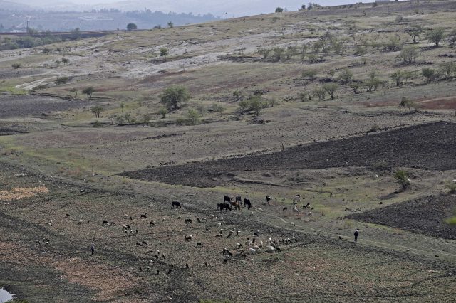 Propone PVEM que municipios usen agua tratada o de lluvia para áreas verdes