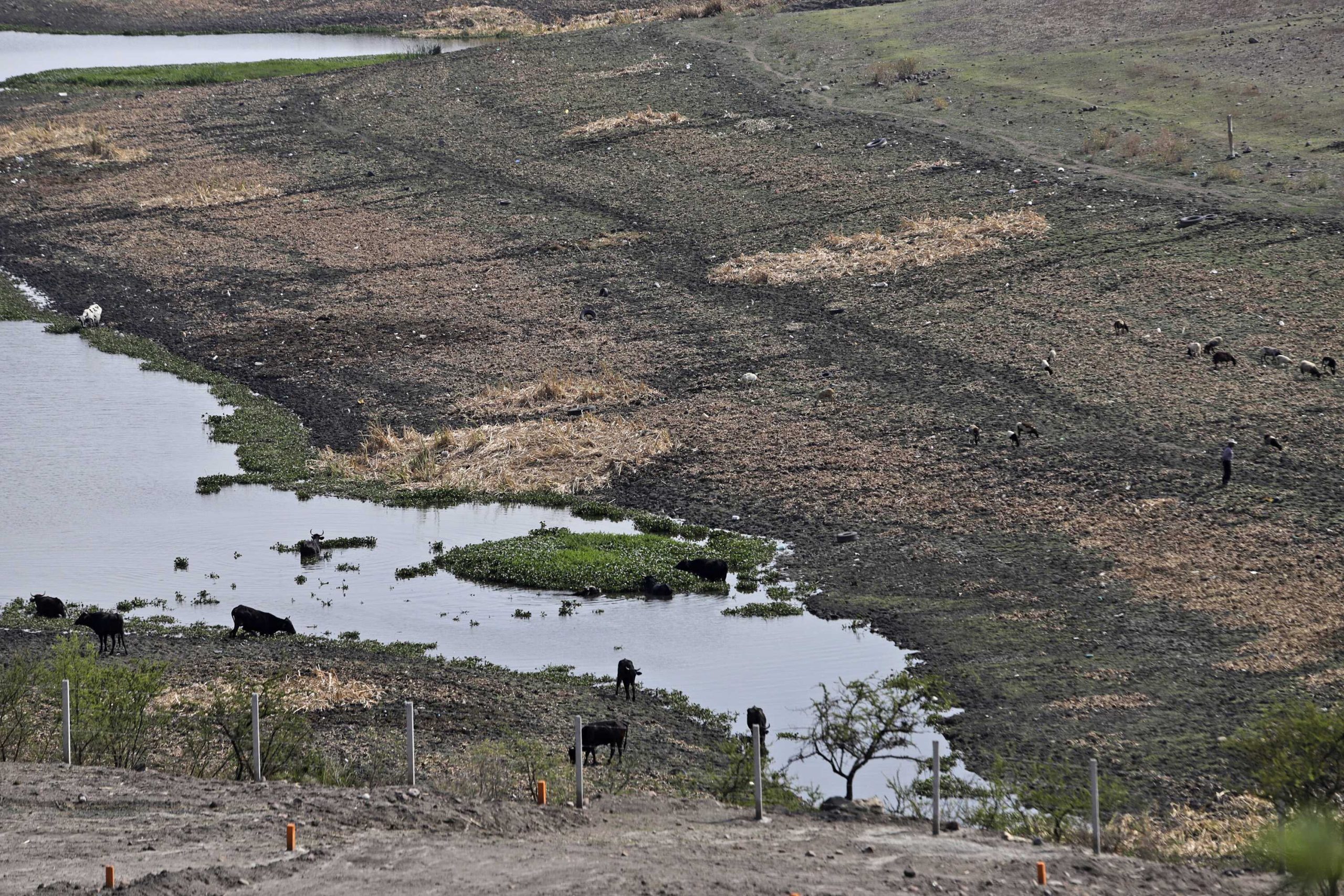 Conagua declara estado de emergencia por sequía; en Puebla, 41 municipios afectados