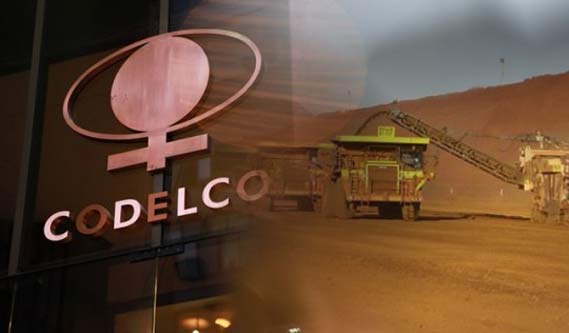 Codelco enfrenta nuevo proceso judicial en Ecuador por proyecto minero que amenaza ecosistema frágil con especies en peligro