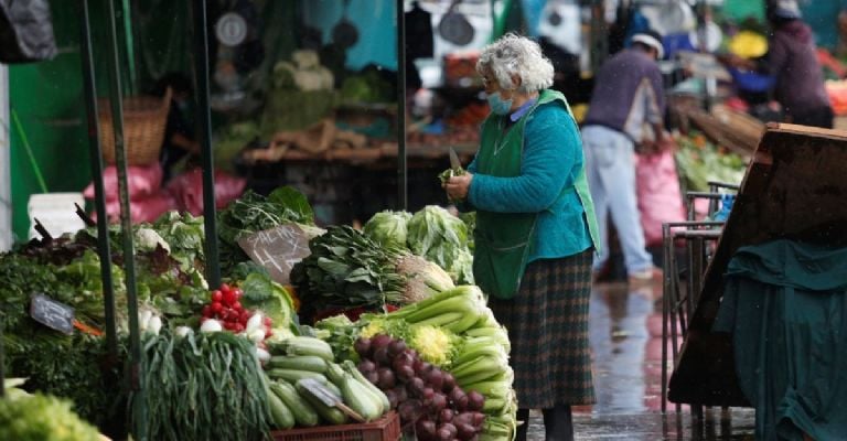 «Nuestro futuro está en juego»: Productores de alimentos de ferias libres formaron el Comando Alimentario por el Apruebo