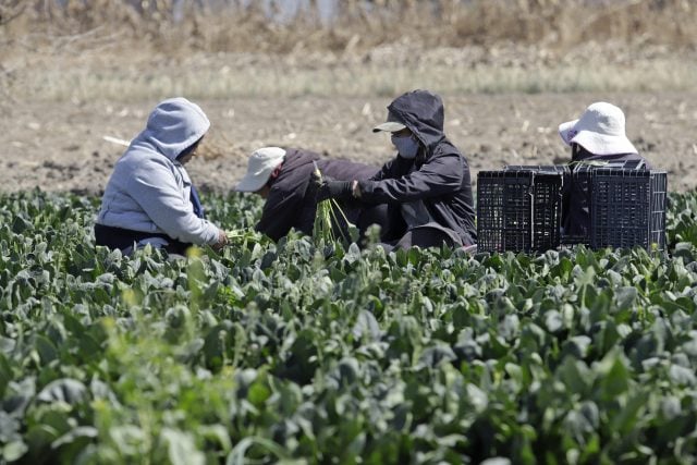 Agricultores