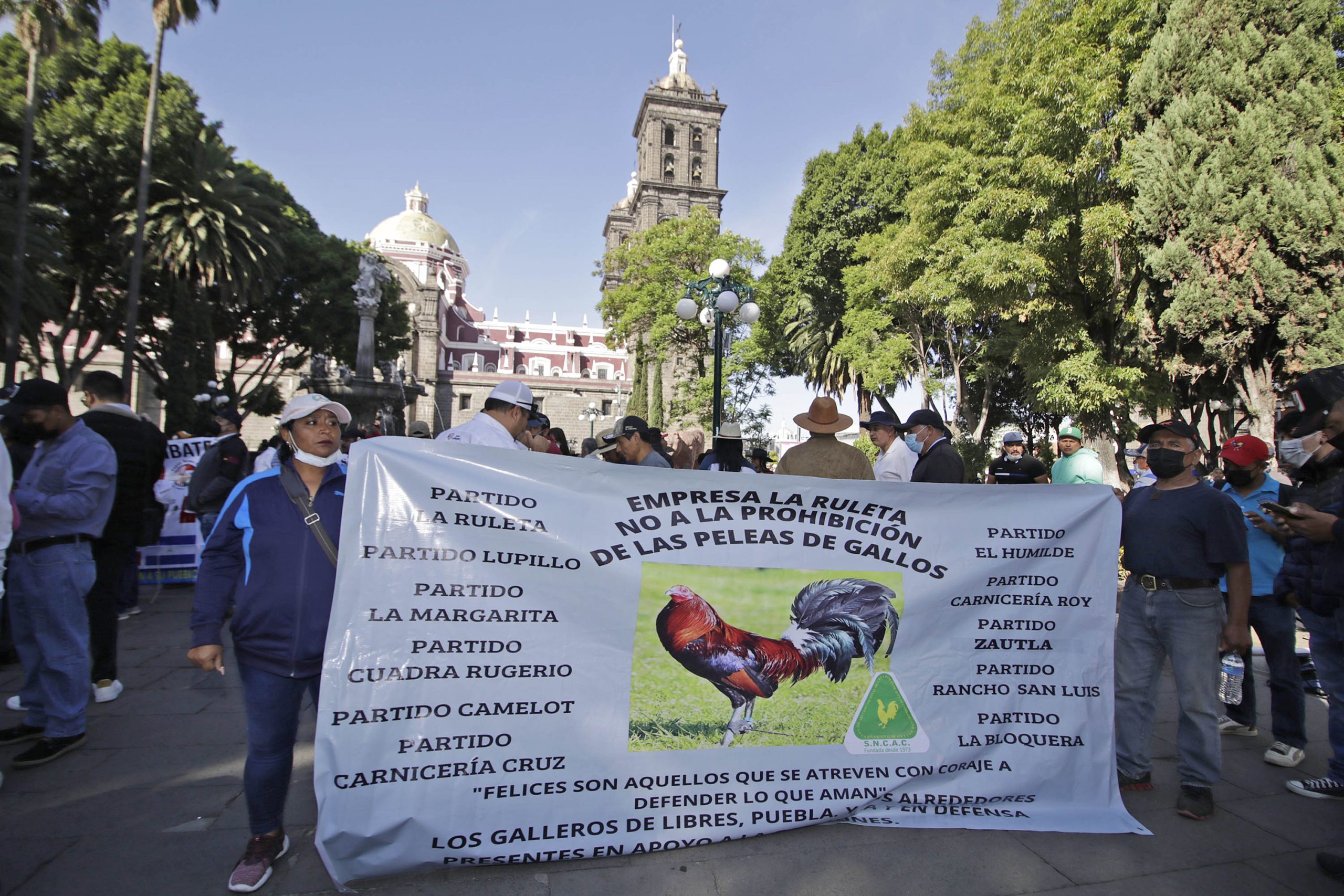 Galleros protestan contra iniciativa que castiga peleas de gallos y tauromaquia