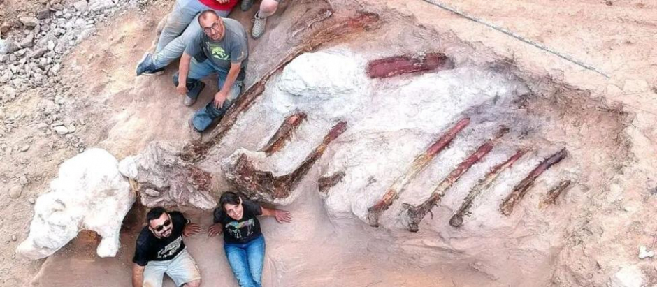 Hallan en el jardín de una casa en Portugal los restos fósiles del que podría ser el mayor dinosaurio jamás encontrado en Europa