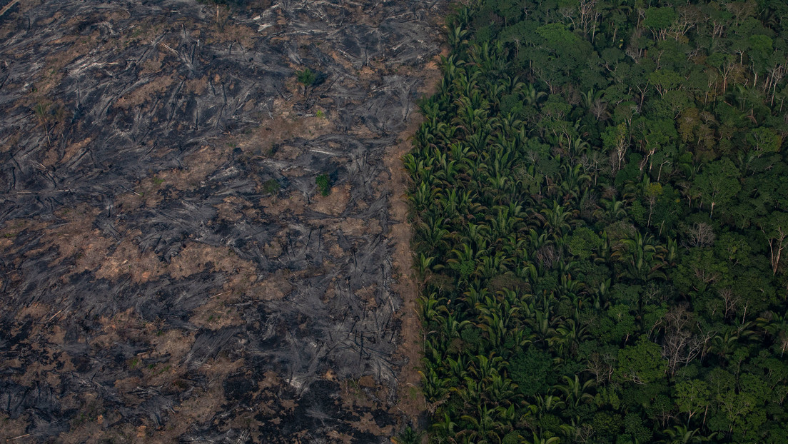 Incendios forestales en la Amazonía brasileña rompieron récord anual en julio