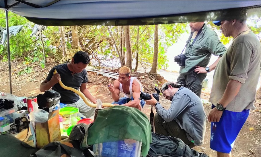 Descubren nueve especies desconocidas en la Amazonía boliviana