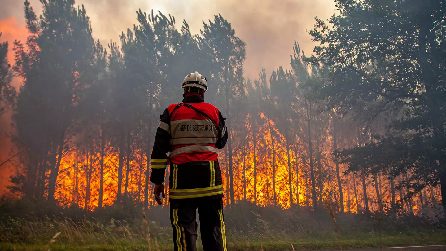 Récord histórico: incendios han destruido 700.000 hectáreas de bosque en la UE en lo que va de año