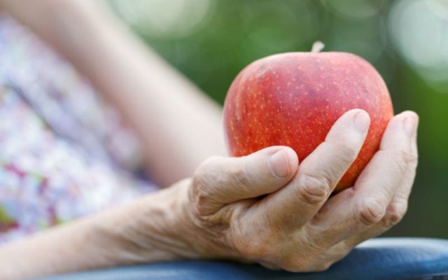 Envejecimiento saludable: Estudio identificará el patrón alimentario y perfil sociosanitario de personas mayores en todo el país