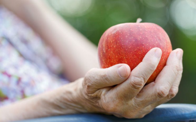 Envejecimiento saludable: Estudio identificará el patrón alimentario y perfil sociosanitario de personas mayores en todo el país