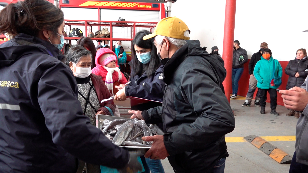 Puerto Aysén: Doce toneladas de merluza incautada empezaron a ser repartidas entre la comunidad tras resolución judicial