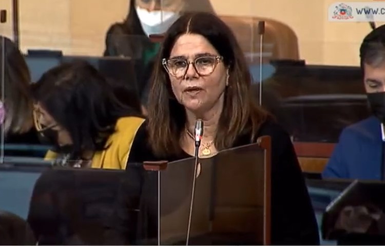 Lluvia de críticas: Ministra de Salud corrige a Diputada Ossandón (RN) por hablar de «locos» para referirse a personas con discapacidad psicosocial