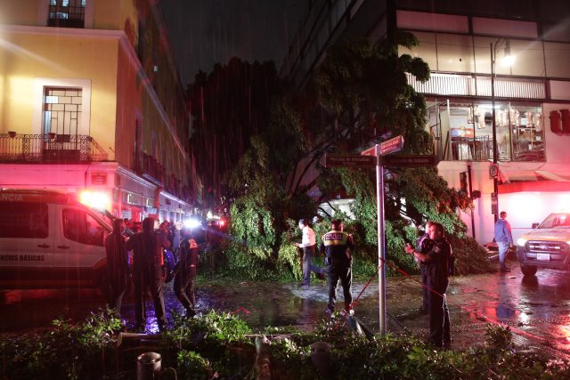 Aguacero tira árbol en centro de Puebla y mata a un menor