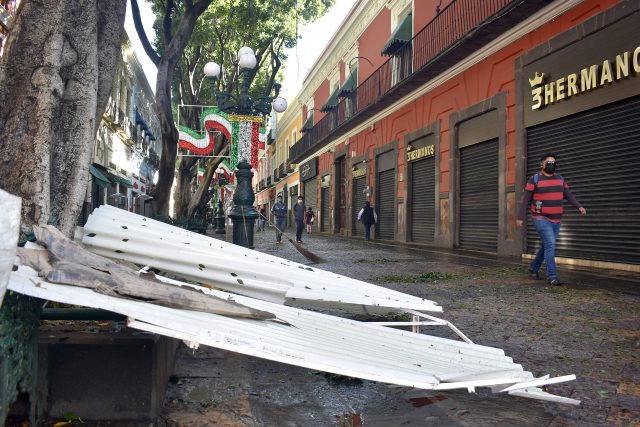 Barbosa pide investigar caída de árbol en el Centro Histórico