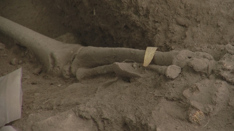 Cementerio de hace 3.000 años fue hallado en República Dominicana