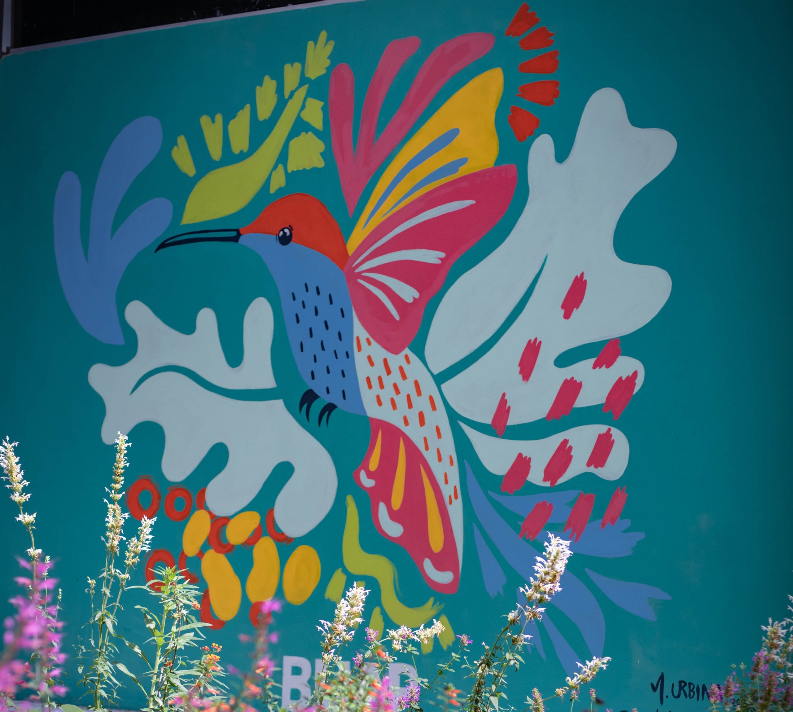 Inauguran jardín para colibríes Xanat Chu Jun en la BUAP