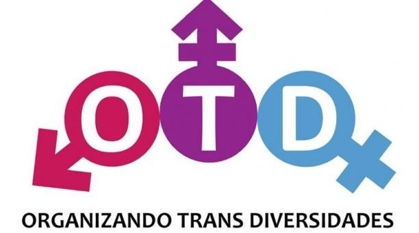 Declaración Pública OTD: Alerta Transfeminista por persecución política a Consejera del INDH Constanza Valdés