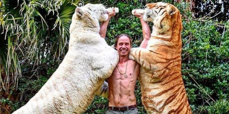 Acusan a TikToker de maltrato animal por polémico video luchando con un tigre blanco