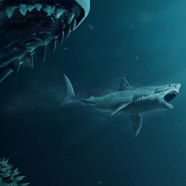 Tiburón gigante prehistórico podría devorar una orca fácilmente