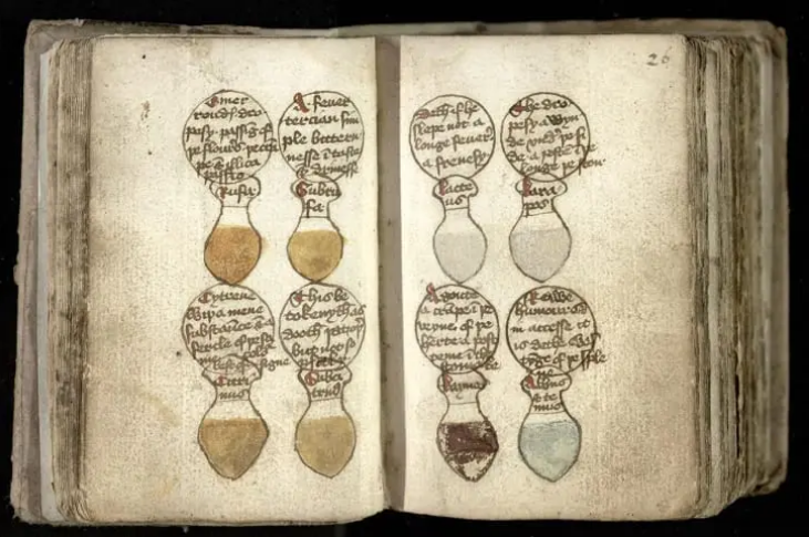 Manuscritos antiguos revelan los bizarros remedios médicos de hace mil años
