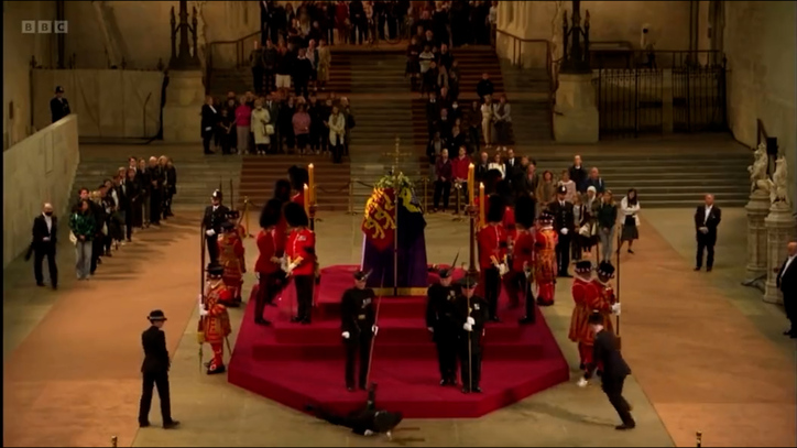 [Video] Guardia real se desmayó mientras custodiaba al féretro de la Reina Isabel