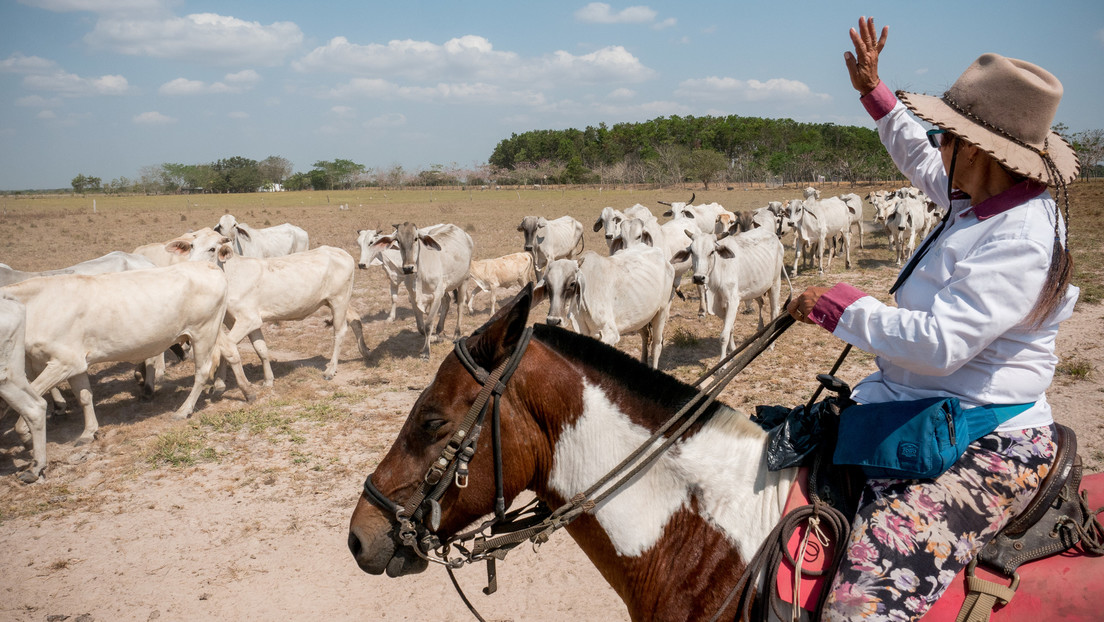 Colombia: landowner uribism aims to revive paramilitarism