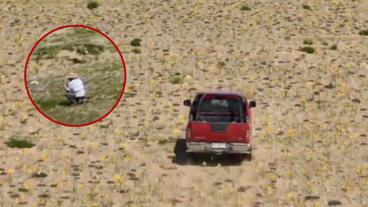 [VIDEO] Todo por una foto: indignación por conductor que destruyó parte del desierto florido con su camioneta